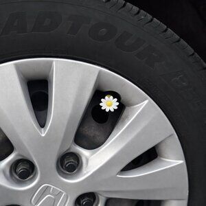 Daisy Flower Valve Stem Cap for tires Set of 4